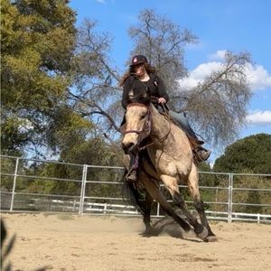 Meet your Posher, Autumn